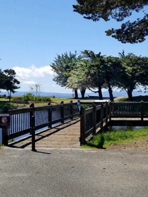 Crab Cove Duck Pond