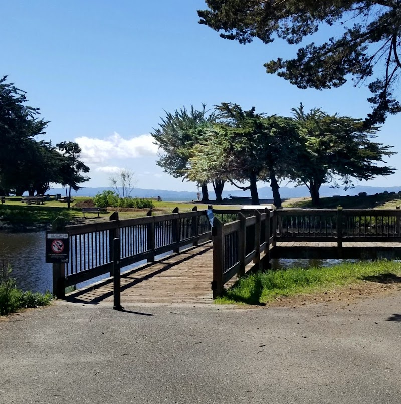 Crab Cove Duck Pond - Alameda, CA