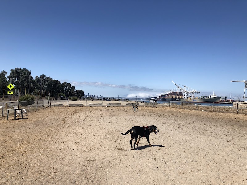 Main Street Dog Park - Alameda, CA