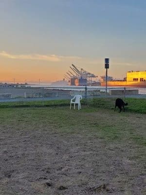 Main Street Dog Park