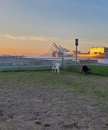 Main Street Dog Park
