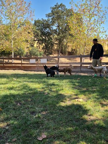 Hap Magee Ranch Dog Park