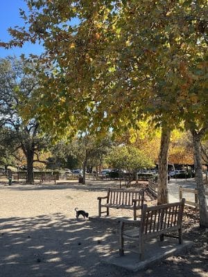 Hap Magee Ranch Dog Park