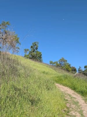 Hap Magee Ranch Dog Park