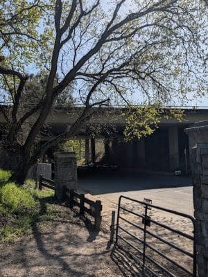 Hap Magee Ranch Dog Park