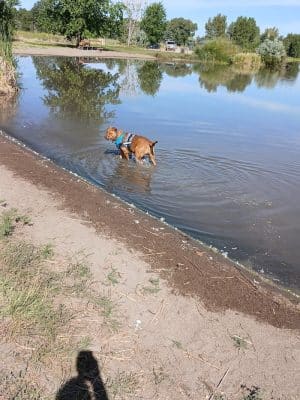 Blanca Vista Dog Park