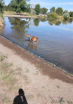 Blanca Vista Dog Park
