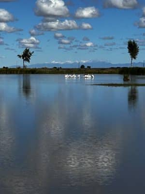 Blanca Vista Dog Park