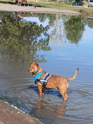 Blanca Vista Dog Park