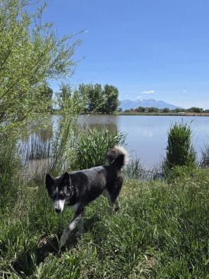 Blanca Vista Dog Park