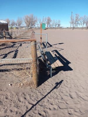 Lee Field Dog Park - Alamosa, CO