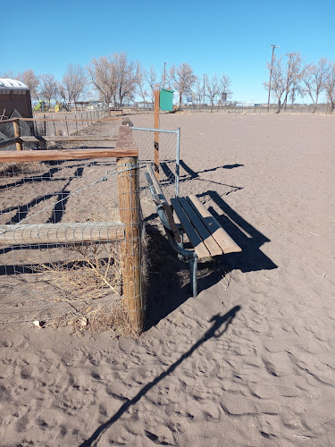 Lee Field Dog Park - Alamosa, CO
