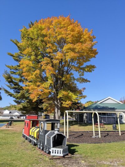 Alanson Village Park - Alanson,