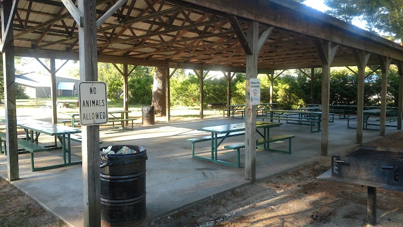 Alanson Village Park Playground - Alanson,
