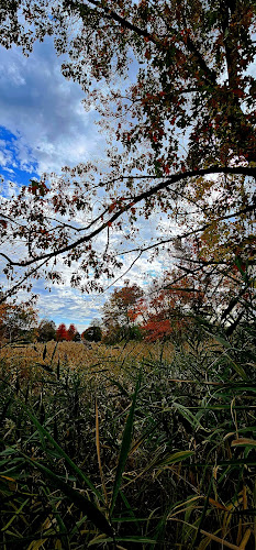 McKownville Park