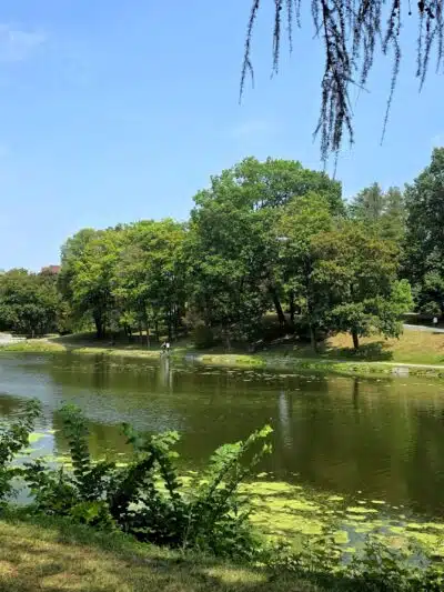 Washington Park - Albany, NY