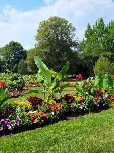 Washington Park - Albany, NY