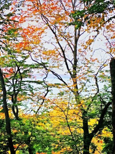 Coy Mountain Natural Area - Alden,