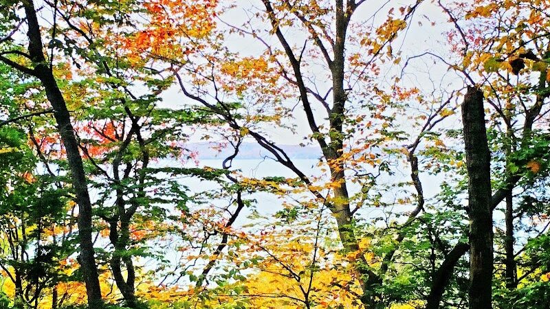 Coy Mountain Natural Area - Alden,