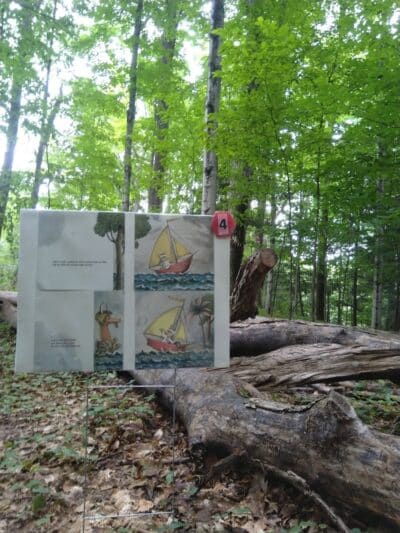Coy Mountain Natural Area - Alden,