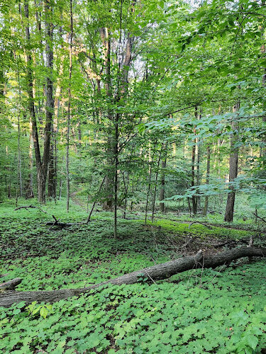 Coy Mountain Natural Area