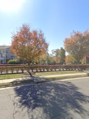 Stratshire Crossing Dog Park
