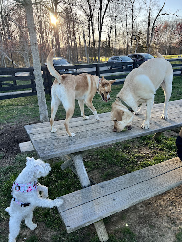Willowsford - The Greens Dog Park