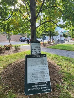 Judy Guse-Noritake Park