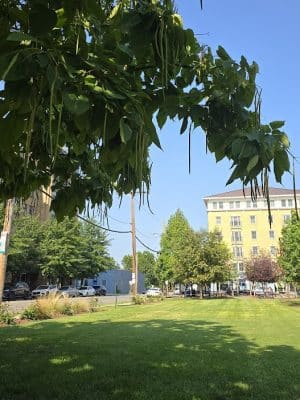 Judy Guse-Noritake Park