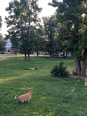 Ben Brenman Park