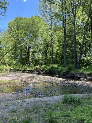 Bren Mar Park
