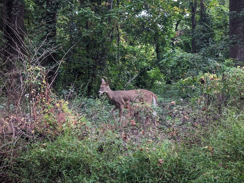 Bren Mar Park - Alexandria, VA