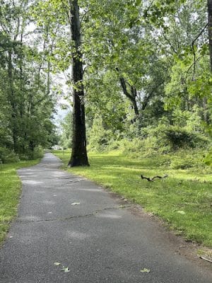 Bren Mar Park