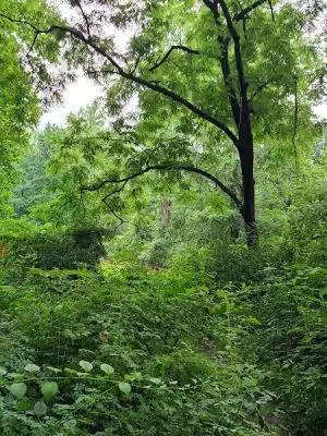 Bren Mar Park