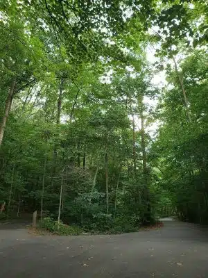 Chambliss Park