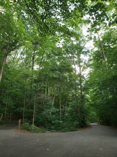 Chambliss Park