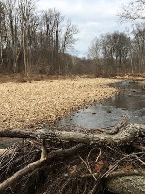 Dora Kelley Nature Park