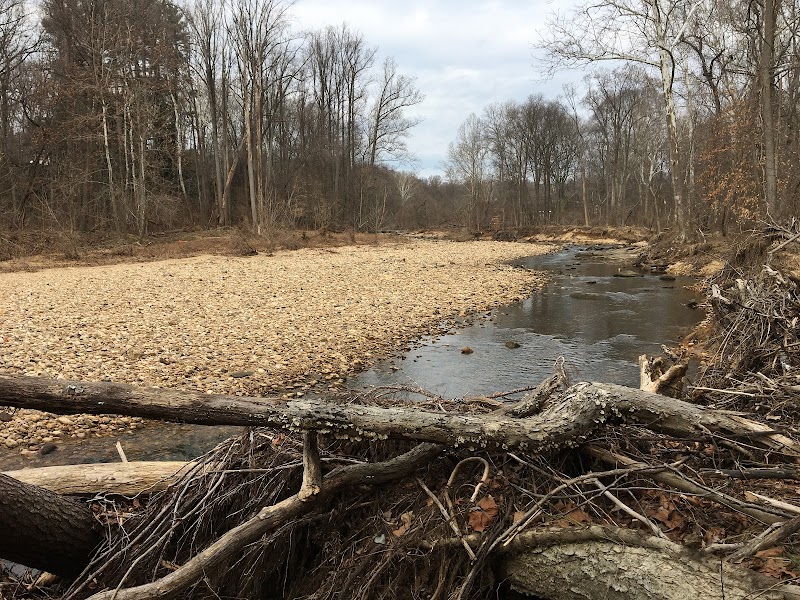 Dora Kelley Nature Park - Alexandria, VA