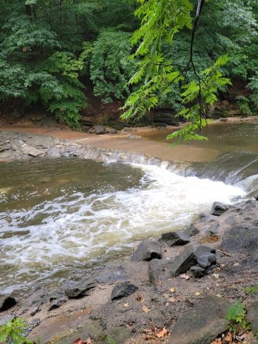 Dora Kelley Nature Park