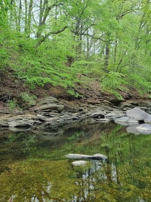 Dora Kelley Nature Park
