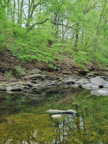 Dora Kelley Nature Park