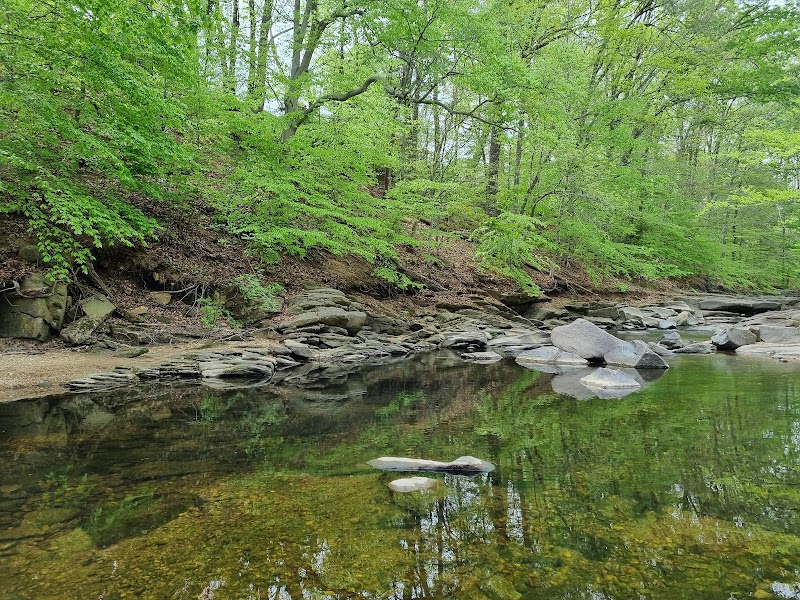 Dora Kelley Nature Park - Alexandria, VA