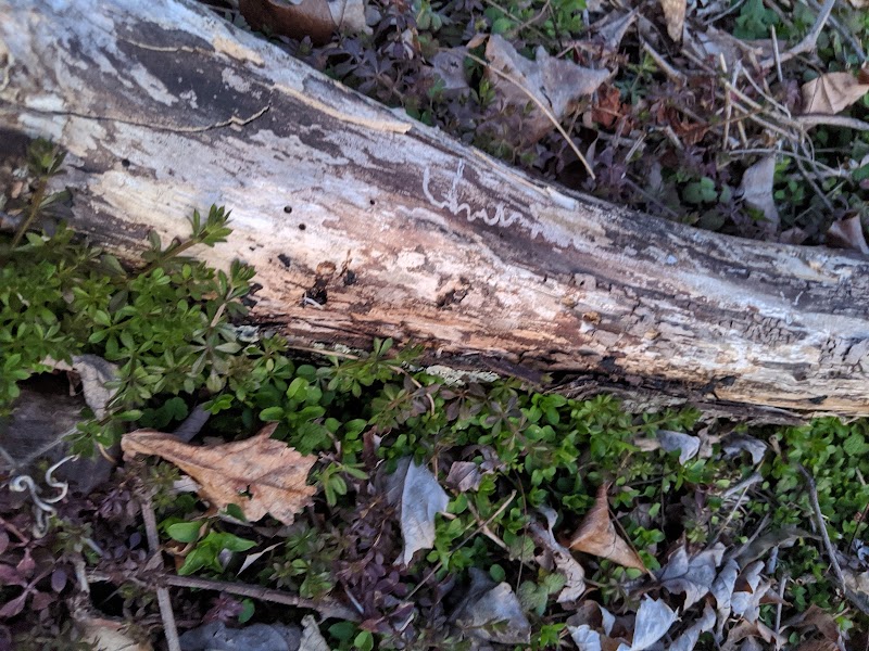 Dowden Terrace Park - Alexandria, VA