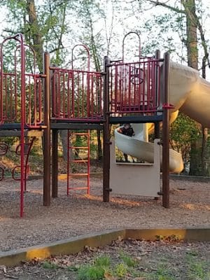Dowden Terrace Park