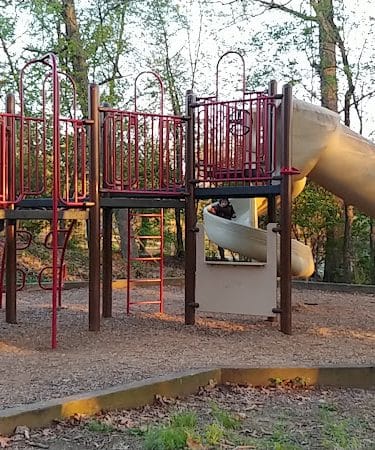 Dowden Terrace Park