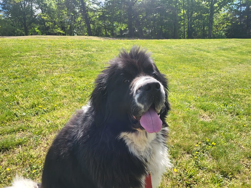 Dowden Terrace Park - Alexandria, VA