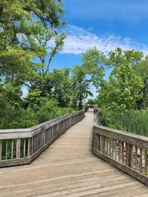 Dyke Marsh Wildlife Preserve