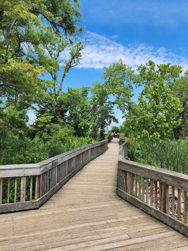 Dyke Marsh Wildlife Preserve