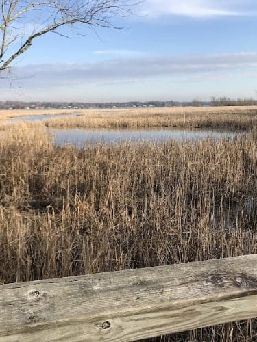 Dyke Marsh Wildlife Preserve