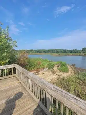 Dyke Marsh Wildlife Preserve